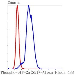 eIF2A, p Ser51 Antibody (SZ01-06), Novus Biologicals 100&mu;L:Antibodies,